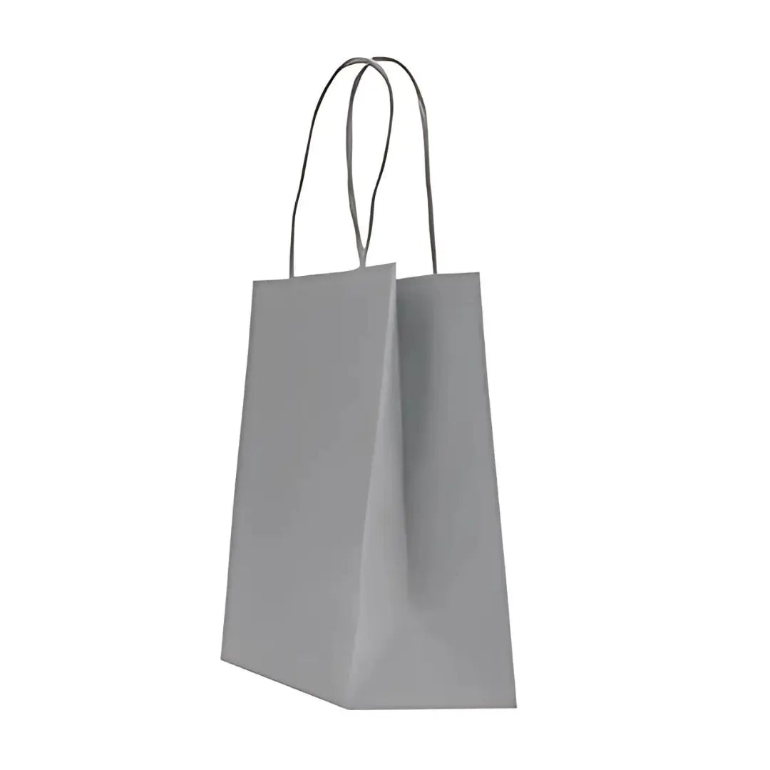 Sac papier kraft gris clair poignées torsadées 26×34 cm – 100 % recyclable et apte au contact alimentaire – fabrication européenne