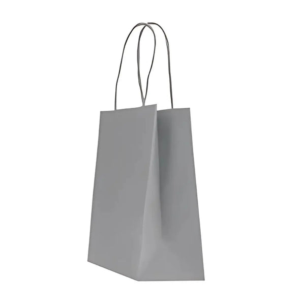 Sac papier kraft gris clair poignées torsadées 26×34 cm – 100 % recyclable et apte au contact alimentaire – fabrication européenne