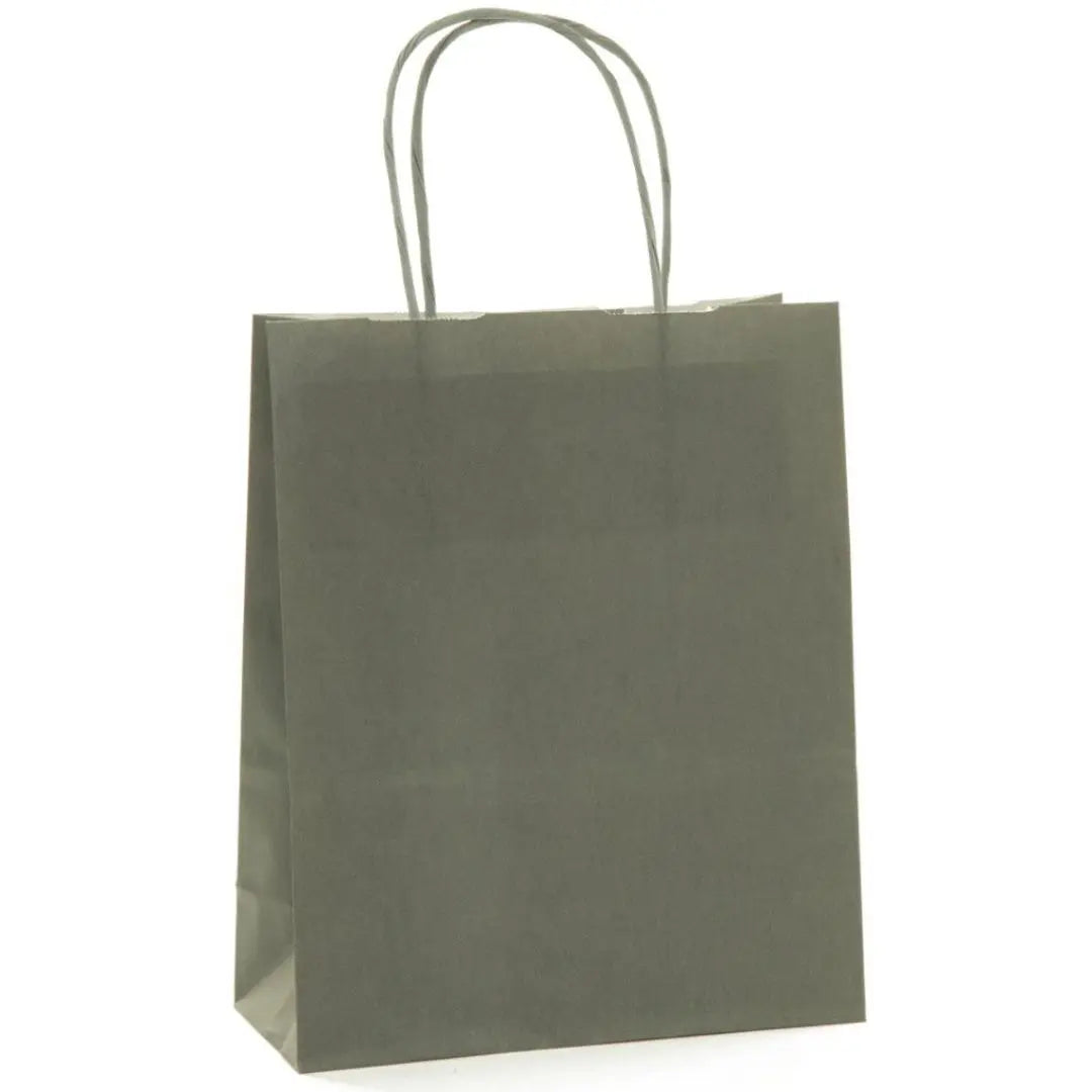 Sac papier kraft gris foncé poignées torsadées 26×34 cm – 100 % recyclable et apte au contact alimentaire – fabrication européenne