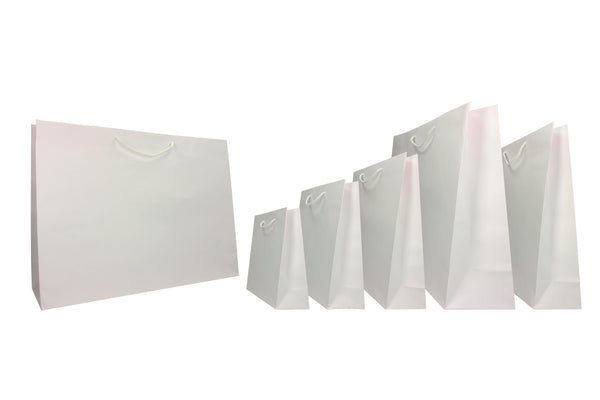 Boutique Paper Bags kraft 160gr blister 10pces