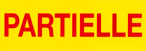 DittaDisplay Affiches combinée 23x65cm partielle rouge jaune Kombinierte teilweise rot gelb Poster Combined posters partial red yellow