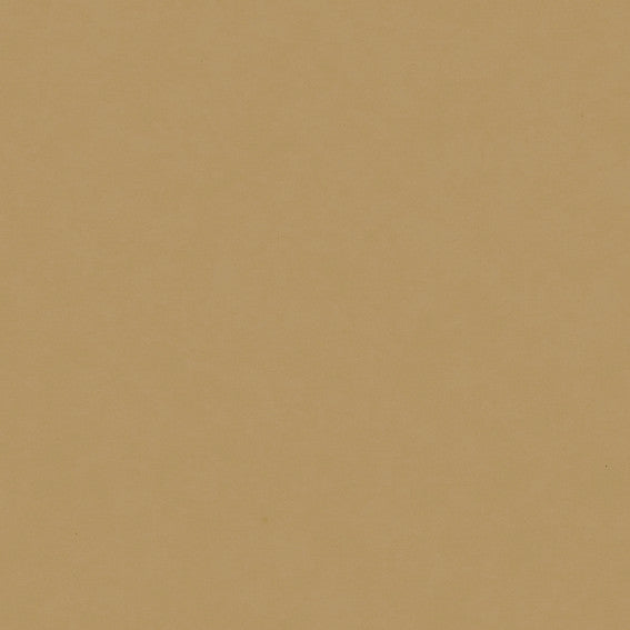 DittaDisplay Retail Solutions - Rouleau papier kraft naturel brun lisse 60gr 0.7x100m Brown natural kraft paper roll Braune natürliche Kraftpapierrolle