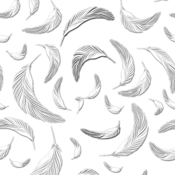 DittaDisplay Rouleau polypro avec impressions plumes Polypro-Rolle mit Federdrucken Polypro roll with feather prints