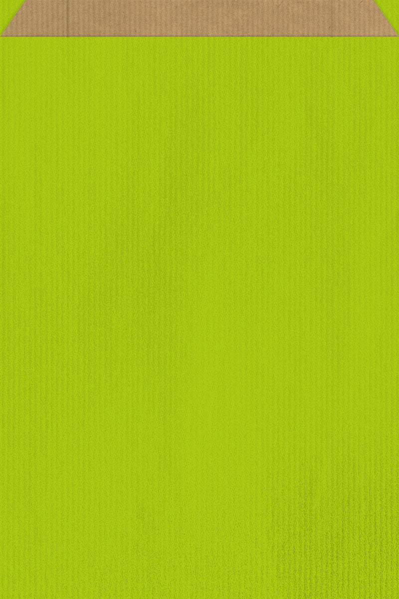 DittaDisplay Retail Solutions - Pochette papier couleur vert sur kraft brun vergé Grün gefärbte Papierhülle auf braunem Kraftpapier Green colored paper pouch on brown kraft paper
