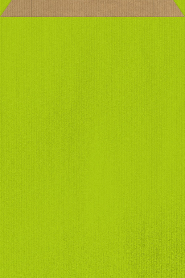 DittaDisplay Retail Solutions - Pochette papier couleur vert sur kraft brun vergé Grün gefärbte Papierhülle auf braunem Kraftpapier Green colored paper pouch on brown kraft paper