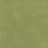 Papier de soie vert mousse pour emballage cadeau boutique et épicerie fine