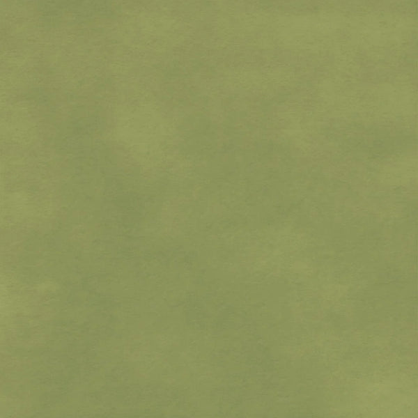 Papier de soie vert mousse pour emballage cadeau boutique et épicerie fine