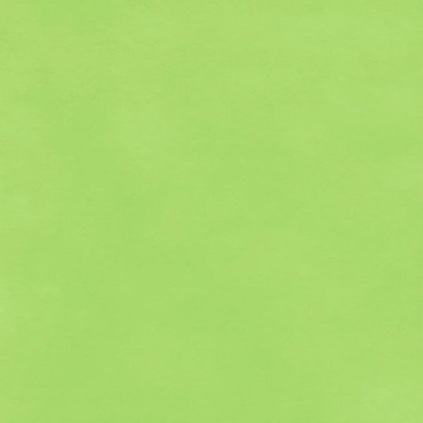Papier de soie vert pastel 18 g/m² pour emballage cadeau professionnel