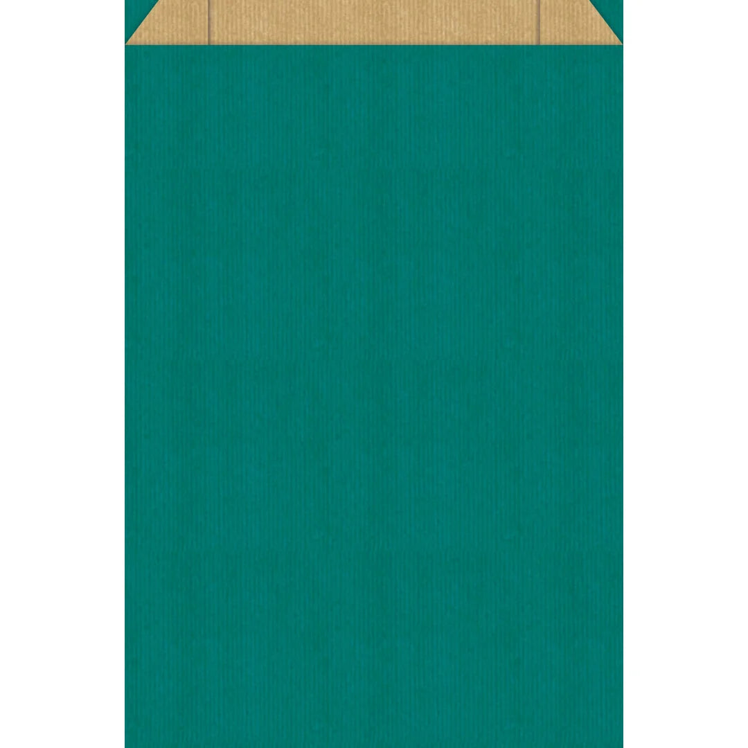 Pochette cadeau kraft brun colorée bleu-vert — emballage cadeau recyclable pour boutique