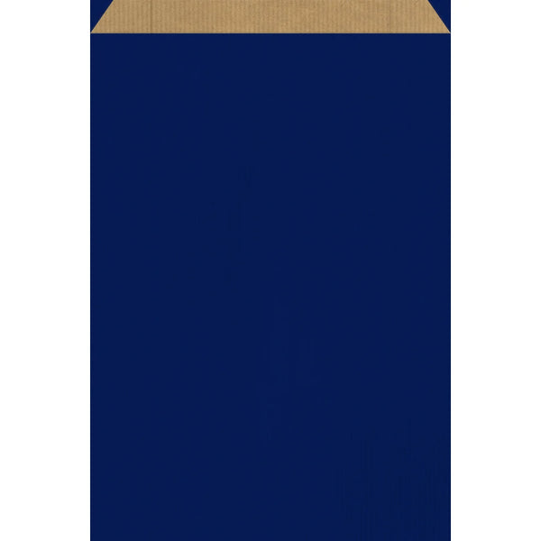 Pochette cadeau kraft brun colorée bleu — emballage professionnel pour commerce de détail