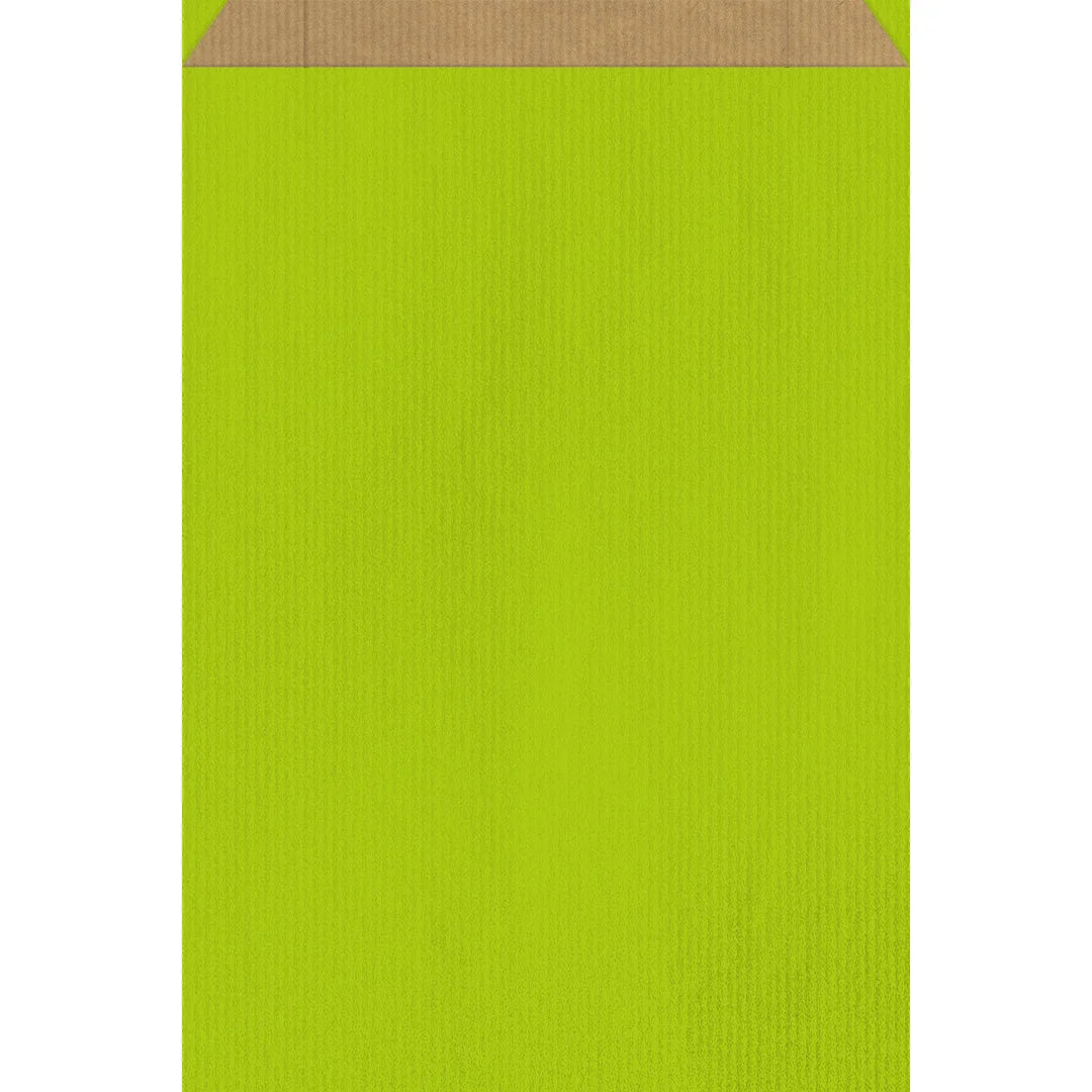 Pochette cadeau kraft brun colorée vert — emballage écoresponsable pour magasin de détail