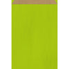Pochette cadeau kraft brun colorée vert — emballage écoresponsable pour magasin de détail