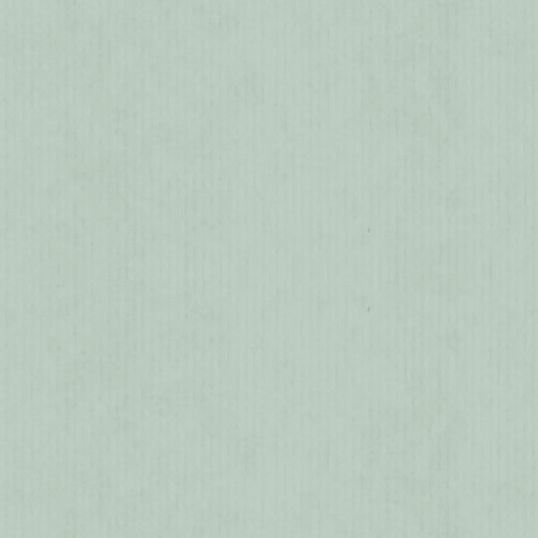 Rouleau de papier cadeau couleur sauge sur fond kraft blanc, 0,7 x 100 m, professionnel