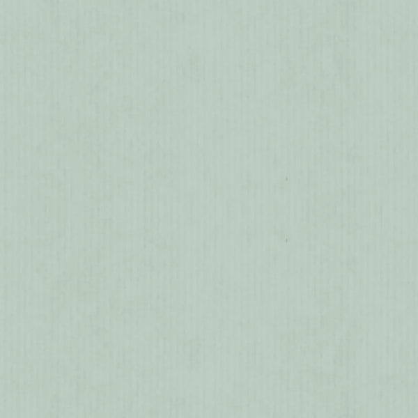 Rouleau de papier cadeau couleur sauge sur fond kraft blanc, 0,7 x 100 m, professionnel