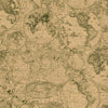 Rouleau papier cadeau kraft brun motif mappemonde, lisse recyclable, pour concept store et boutique