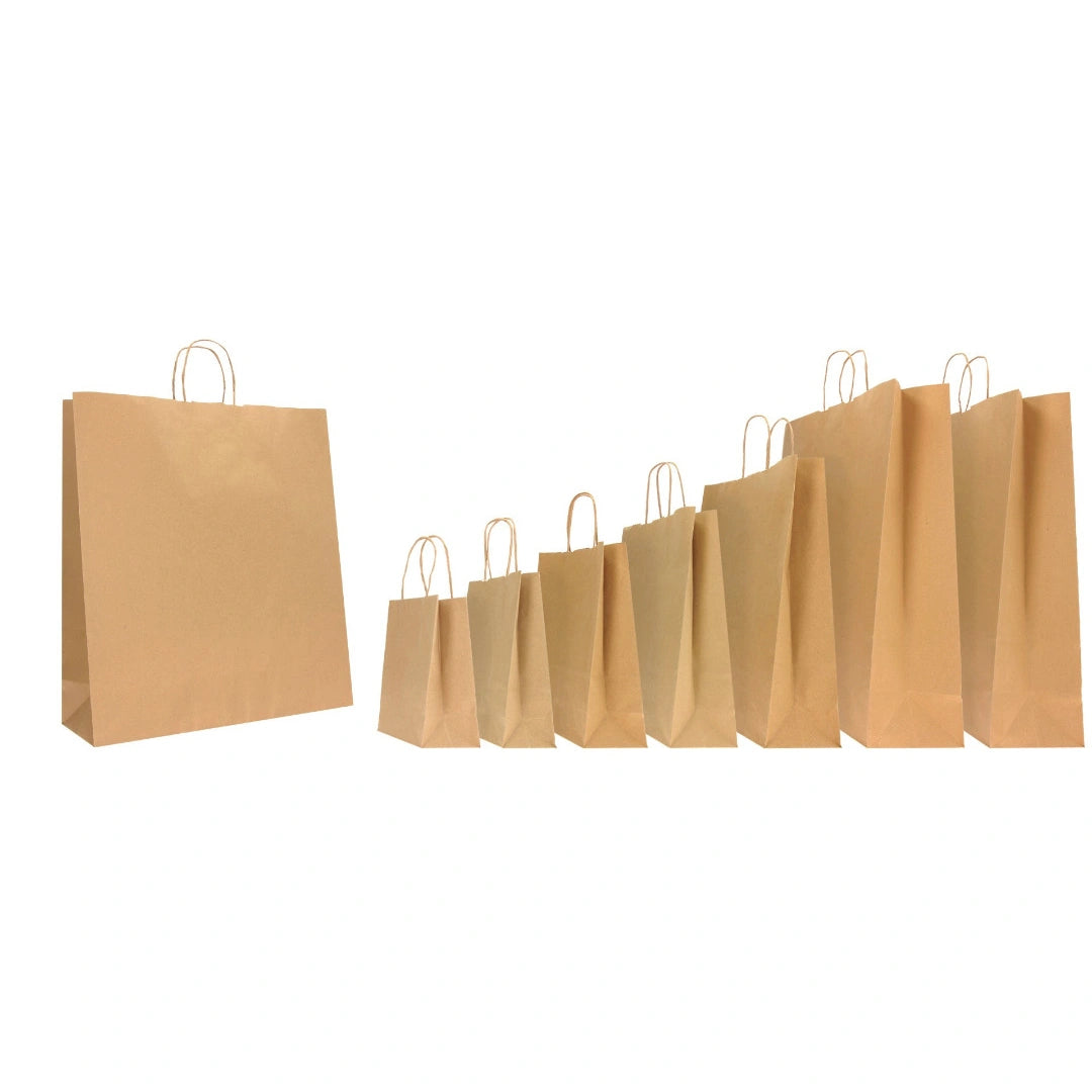 Sacs en kraft brun recyclable avec poignées torsadées, solides et pratiques, disponibles en 7 formats pour commerces, traiteurs et épiceries fines