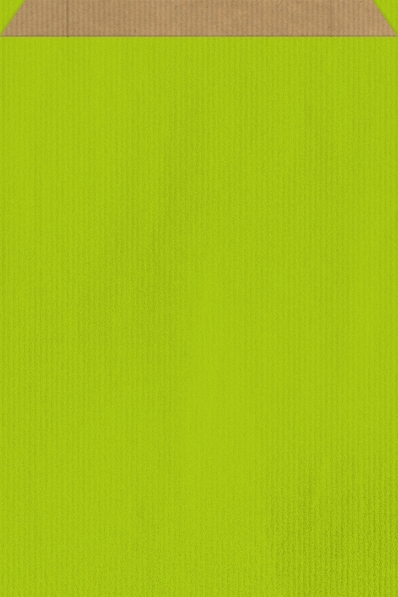 DittaDisplay Pochette papier couleur vert sur kraft brun vergé Grün gefärbte Papierhülle auf braunem Kraftpapier Green colored paper pouch on brown kraft paper