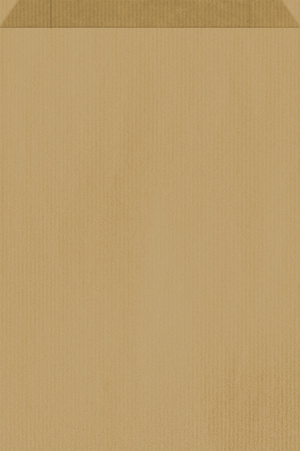 Pochette fine en papier kraft brun 40 g/m², recyclable et pratique, idéale pour emballer petits articles, bijoux, papeterie et accessoires.