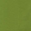 Rouleau de papier couleur vert sur kraft brun naturel 60 g/m², recyclable et solide, idéal pour emballage cadeau, fleuristes, traiteurs et commerces de détail.