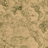 Rouleau de papier kraft brun à motifs mappemonde imprimés, solide et recyclable, idéal pour emballage cadeau, fleuristes et commerces de détail.